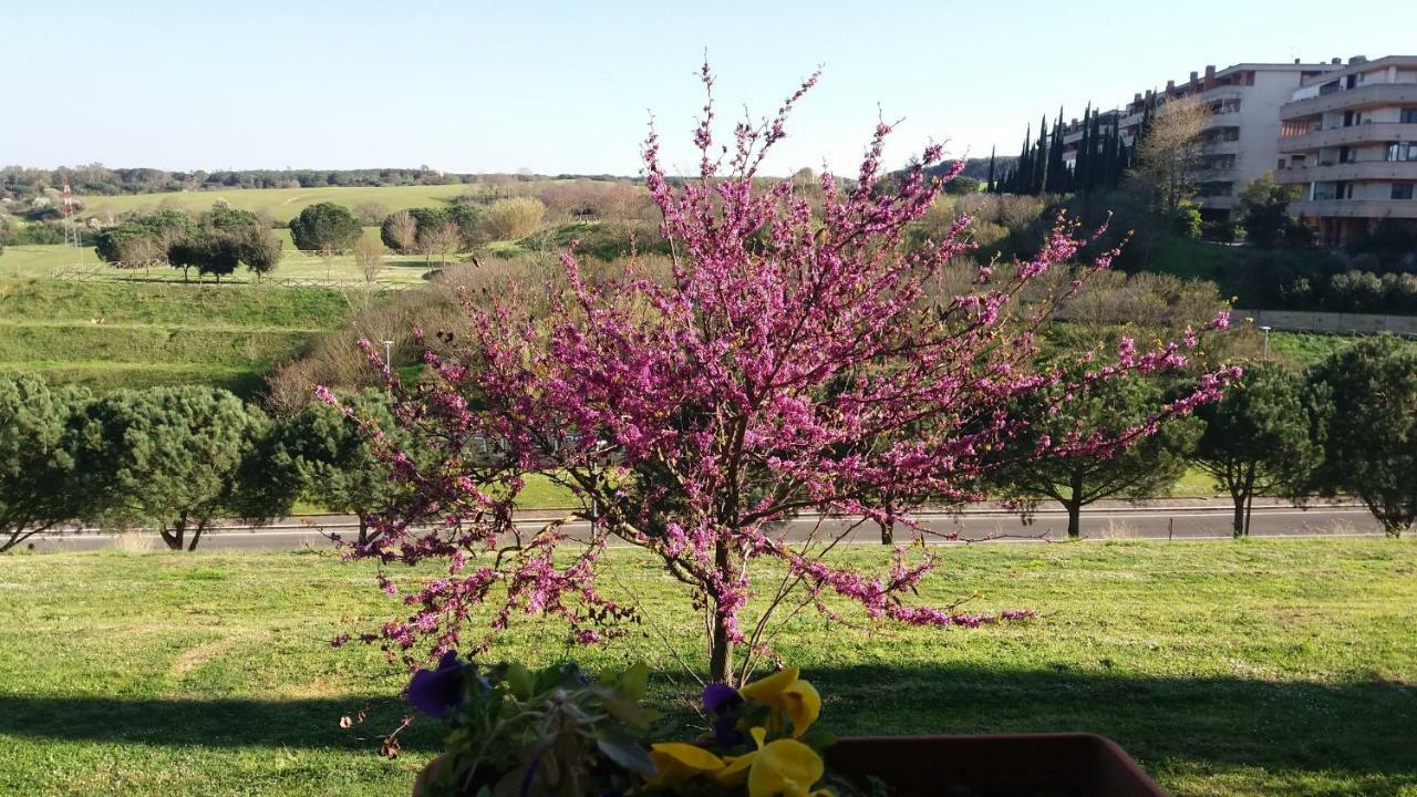 B&B Colline Verdi Vitinia Exteriör bild